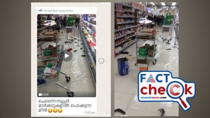 കനത്ത മഴയില് പുഴയായി സൂപ്പര്മാര്ക്കറ്റ്; തറയില് മീനുകളുടെ നീരാട്ട്- വീഡിയോ ചെന്നൈയില് നിന്ന്? Fact Check