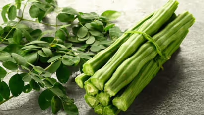 മുരിങ്ങയ്ക്ക പതിവായി കഴിക്കാറുണ്ടോ? എങ്കില്, നിങ്ങള് അറിയേണ്ടത്...