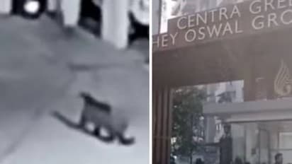 പാതിരാത്രിയിൽ റെസിഡൻഷ്യൽ സൊസൈറ്റിക്കുള്ളിൽ ചുറ്റിയടിച്ച് പുള്ളിപ്പുലി, ദൃശ്യം കണ്ട് ഞെട്ടി താമസക്കാർ