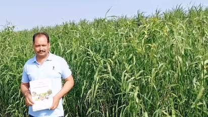 Lemon Grass Cultivation: A farmer’s journey towards sustainable agriculture