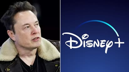 ഡിസ്‌നിക്കെതിരെ 'വെല്ലുവിളി 'യുമായി മസ്‌ക്; പ്രകോപനത്തിന് ഒരൊറ്റ കാരണം!