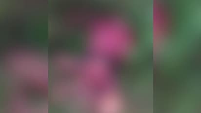  വയനാട്ടില്‍ യുവാവിനെ കടുവ കടിച്ചു കൊന്നു ; പാതി ഭക്ഷിച്ച നിലയില്‍ മൃതദേഹം കണ്ടെത്തി