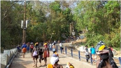 ശബരിമലയിൽ മരച്ചില്ല വീണ് തീർത്ഥാടകന് പരിക്കേറ്റു