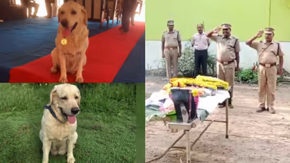 ഇന്സ്പെക്ടര് 'കല്യാണി'യുടെ മരണം കൊലപാതകമോ?, ദുരൂഹത ബാക്കി, മൂന്ന് പൊലീസുകാര്ക്കെതിരെ നടപടി