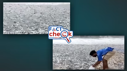 'ചുഴലിക്കാറ്റിനൊപ്പം ചാകര', മീനുകള്‍ വാരിക്കൂട്ടി ജനം! വൈറലായ വീഡിയോ എന്ത്? Fact Check 