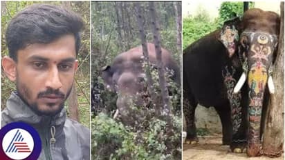 ಅರ್ಜುನ ಸಾವಿನ ಇಂಚಿಂಚು ಮಾಹಿತಿ ಬಿಚ್ಚಿಟ್ಟ ವೈದ್ಯ ರಮೇಶ್: ಇಲ್ಲಿದೆ ನೋಡಿ ಅರ್ಜುನನ ಕೊಂದ ಕಾಡಾನೆ