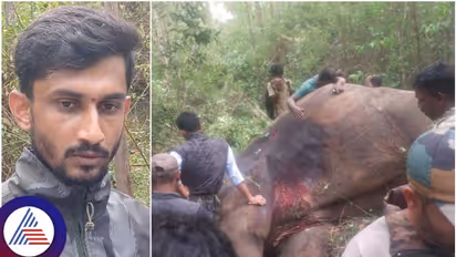 ಅರ್ಜುನ ಆನೆಗೆ ಗುಂಡು ಬಿತ್ತಾ.? ಸಾವಿನ ವಿವಾದಕ್ಕೆ ಸ್ಪಷ್ಟನೆ ಕೊಟ್ಟ ವೈದ್ಯ ರಮೇಶ್!