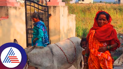 ಕಲಬುರಗಿಯಲ್ಲಿ ಕತ್ತೆ ಹಾಲಿಗೆ ಹೆಚ್ಚಿದ ಬೇಡಿಕೆ! ಲೀ ಹಾಲಿಗೆ ಎಷ್ಟು ಬೆಲೆ ಗೊತ್ತಾ!