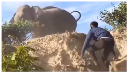 ഇടഞ്ഞ കാട്ടാനയുടെ പുറകെ ചെരുപ്പുമായി യുവാക്കള്‍; ഇതെന്തെന്ന് ചോദിച്ച് സോഷ്യല്‍ മീഡിയ 