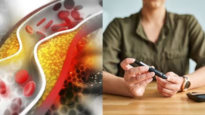 കൊളസ്ട്രോളും പ്രമേഹവും നിയന്ത്രിക്കാന് പതിവായി കഴിക്കാം ഈ പച്ചക്കറി...