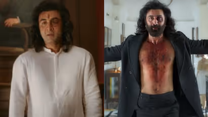 'Animal' box office collection: Ranbir Kapoor-starrer grosses Rs 700 crore globally