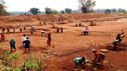  100 நாள் வேலைத்திட்டத்தை ஒரேயடியாக ஒழித்துக்கட்டும் வேலையில் இரக்கமற்ற பாஜக அரசு! முதல்வர் ஸ்டாலின்!