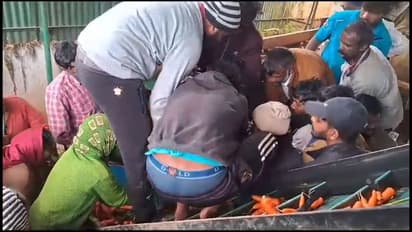 உதகையில் கேரட் சுத்தம் செய்யும் இயந்திரத்தில் சிக்கி தொழிலாளி பலி; போலீசார் விசாரணை