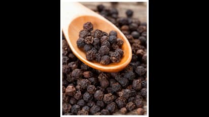 ಜೇಬಿನಲ್ಲಿ ಹಣ ನಿಲ್ಲೋದೆ ಇಲ್ವ? ಕೆಟ್ಟ ದೃಷ್ಟಿ ಬಿದ್ದಿದ್ಯಾ? ಹಾಗಿದ್ರೆ ಈ ಸಲಹೆ ಪಾಲಿಸಿ