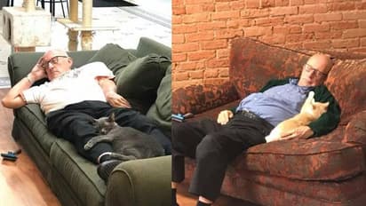 പൂച്ചകൾക്കൊരു മുത്തച്ഛൻ; ഒപ്പമുറങ്ങുന്ന ചിത്രങ്ങൾ വൈറൽ, ഫണ്ട് കിട്ടിയത് 83 ലക്ഷം