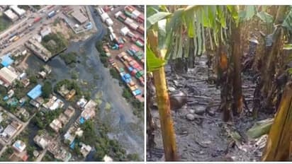 எண்ணூர் பகுதியில் வீடு, கடலில் எண்ணெய் கசிவிற்கு இவர்கள் தான் காரணம்.! மாசு கட்டுப்பாட்டு வாரியம் அறிவிப்பு