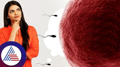 ಎಗ್ ಫ್ರೀಜಿಂಗ್: ಮಕ್ಕಳು ಮಾಡಿ ಕೊಳ್ಳೋ ಪ್ಲ್ಯಾನ್ ಈಗಿಲ್ಲವೆಂದರೆ, ಭವಿಷ್ಯದ ಬಗ್ಗೆ ಯೋಚಿಸ್ಬೇಡಿ!