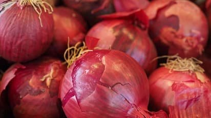வெங்காயம் எப்போது சாப்பிட்டால் நல்லது தெரியுமா? பலர் செய்யும் தவறை நீங்க செய்யாதீங்க!!