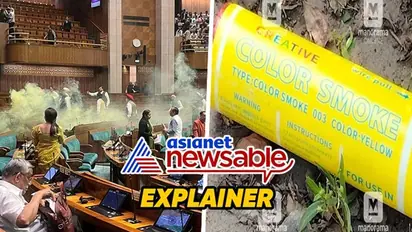 Explained: What are coloured gas canisters, used during Parliament security breach?
