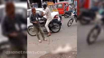 പാലക്കാട് തെരുവുനായയെ തല്ലിക്കൊന്ന സംഭവം; കേസെടുത്ത് പൊലീസ്