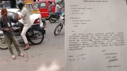 കമ്പിവടികൊണ്ട് തലക്കടിച്ചു, 'വിഷം കൊടുത്ത് കൊല്ലുന്നത് പതിവ്', പാലക്കാട്ട് തെരുവുനായയെ കൊന്നയാൾക്ക് കേസ്