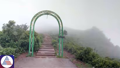 Year-end tourists, take note: Chikkamagaluru closed for 6 days in December; Here's why