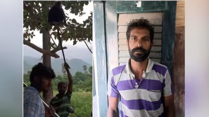 മരത്തിൽ വെറുതെയിരുന്ന കുരങ്ങിന്റെ വാലിൽ പിടിച്ചുവലിച്ച് പുലിവാല് പിടിച്ച് യുവാവ്, ഇനി അഴിയെണ്ണാം