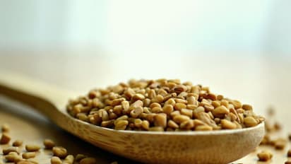 മുടി തഴച്ച് വളരാൻ ഉലുവ ; ഉപയോ​ഗിക്കേണ്ട വിധം