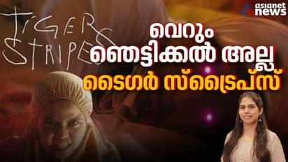 'ബോഡി ഹൊറർ'; പരിവർത്തനത്തിന്റെ ഭീകരത നിറച്ച് ടൈഗർ സ്ട്രൈപ്സ്