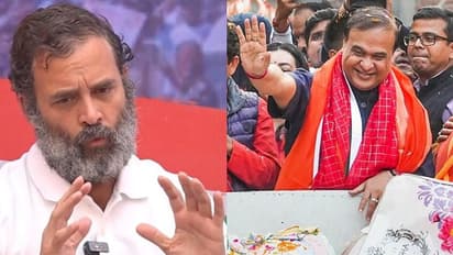 ಕಾಂಗ್ರೆಸ್ ಲೋಕಸಭೆಯಲ್ಲಿ ರಾಹುಲ್ ಗಾಂಧಿಗೆ ಆಗಿರುವ ವಯಸ್ಸಿನಷ್ಟು ಸೀಟ್ ಗೆಲ್ಲಲಿದೆ: ಹಿಮಾಂತ ಬಿಸ್ವಾ ಶರ್ಮ