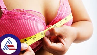 ದೊಡ್ಡ ಗಾತ್ರದ ಸ್ತನಗಳಿಂದ ಸುಸ್ತಾಗಿದ್ರೆ, ಇಲ್ಲಿದೆ ಬೆಸ್ಟ್ ಪರಿಹಾರ!