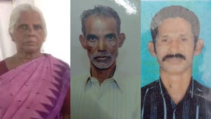 ഒരേ പാതയിലെ മരണക്കെണി! പേടിപ്പെടുത്തുന്ന അനുഭവം, 24 മണിക്കൂറിൽ മണ്ണുത്തി-വടക്കഞ്ചേരി ദേശീയപാതയിൽ 3 അപകട മരണം