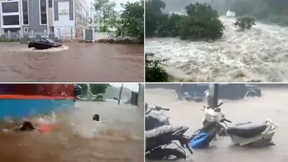 Heavy rainfall in TN's Tirunelveli: Courtallam, Manimuthar waterfalls overflow; dramatic videos go viral