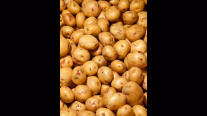 potato
