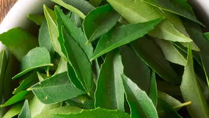 മുടി വളരാൻ കറിവേപ്പില ; ഇങ്ങനെ ഉപയോഗിക്കൂ