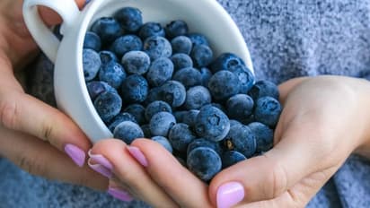 തലച്ചോറിന്റെ ആരോഗ്യത്തിനായി കഴിക്കാം ഈ അഞ്ച് ഭക്ഷണങ്ങള്...