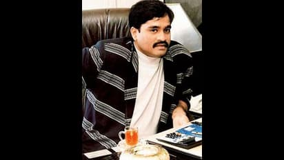 దావూద్ ఇబ్రహ్రీంను ప్రాణంగా ప్రేమించిన బాలీవుడ్ హీరోయిన్లు, ఈ అండర్ వరల్డ్ డాన్ అంటే అంత ఇష్టమా..?