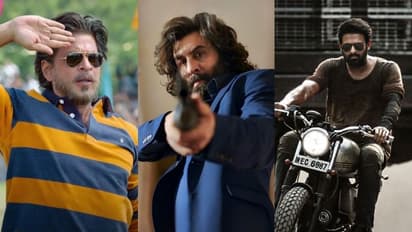 എതിരാളികള് എത്താന് 2 ദിവസം, 200 കോടി ബജറ്റില് എത്തിയ 'അനിമല്' ശരിക്കും ഹിറ്റ് ആണോ? 17 ദിവസത്തെ നേട്ടം