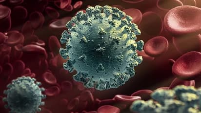 Explained: Is rising COVID cases in Kerala a cause of concern?