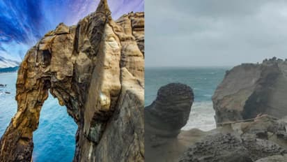 "தும்பிக்கையை இழந்த யானை".. உலக புகழ் பெற்ற Tourist Spot - தொடர் கடல் சீற்றத்தால் உருக்குலைந்த சோகம்!