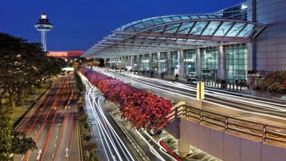 இதென்ன நூதன திருட்டா இருக்கு.. சிங்கப்பூர் ஏர்போர்ட் பெயரில் பெரும் மோசடி - ஆடிப்போன அதிகாரிகள்! மக்களே உஷார்!