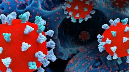 ಬಾಗಲಕೋಟೆ: ಕೋವಿಡ್-19 ರೂಪಾಂತರಿ ಬಗ್ಗೆ ಆತಂಕ ಬೇಡ, ಡಿಸಿ  ಜಾನಕಿ