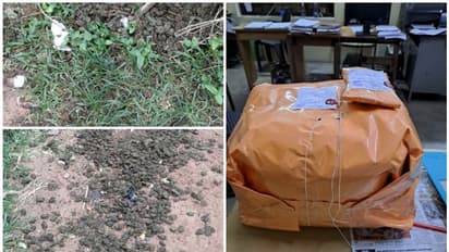 2 ലക്ഷം രൂപ വിലമതിക്കുന്ന കഞ്ചാവ് റോഡരികിൽ വാരി വിതറിയ നിലയിൽ; സംഭവത്തിൽ അന്വേഷണം തുടങ്ങി എക്സൈസ്