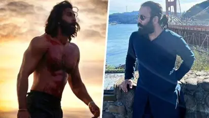 'Animal': Sandeep Reddy Vanga defends Ranbir Kapoor's 'big pelvis' dialogue; says it was 'compliment'