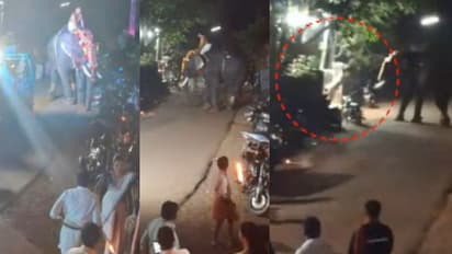 'എഴുന്നള്ളിപ്പിന് 3 ആന, ഇടഞ്ഞയാളെ കൂട്ടത്തിൽ ഒരാന കുത്തി'; പൂജാരിയെ വലിച്ച് താഴെയിട്ട് കൊമ്പൻ- VIDEO