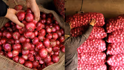 Karnataka: Onion prices likely to surge over Rs 100 soon as wholesale rates spike
