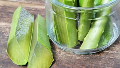 തലമുടി തഴച്ച് വളരാന് കറ്റാർവാഴ ഇങ്ങനെ ഉപയോഗിക്കാം...