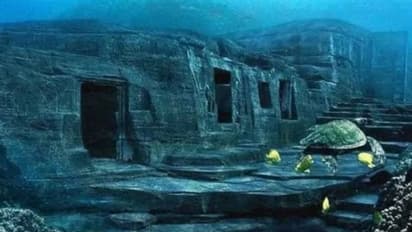 എങ്ങനെ വന്നു സമുദ്രത്തിനടിയിൽ ഇങ്ങനെയൊരു സ്വപ്നലോകം? ആരുകണ്ടാലും അമ്പരക്കും