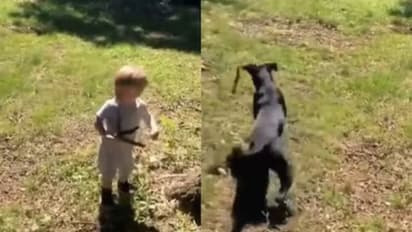 കളിക്കുന്നതിനിടെ ചുള്ളിക്കമ്പ് ആണെന്ന് കരുതി പാമ്പിനെയെടുത്ത് കുഞ്ഞ്; വൈറല് വീഡിയോ...