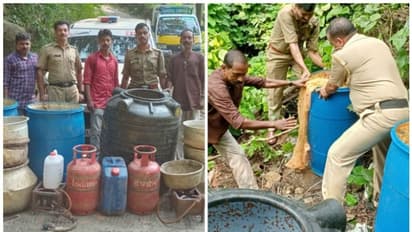 കരിഞ്ചോല മലയിൽ വൻ വാറ്റ് കേന്ദ്രം തകർത്തു; 920 ലിറ്റർ വാഷും ചാരായവും പിടികൂടി